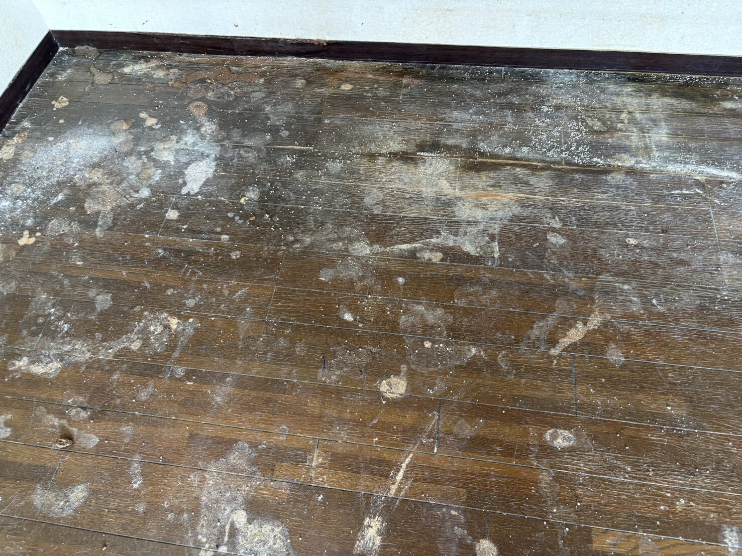 【函館市】某住宅にてペットによる床汚れの清掃を行いました